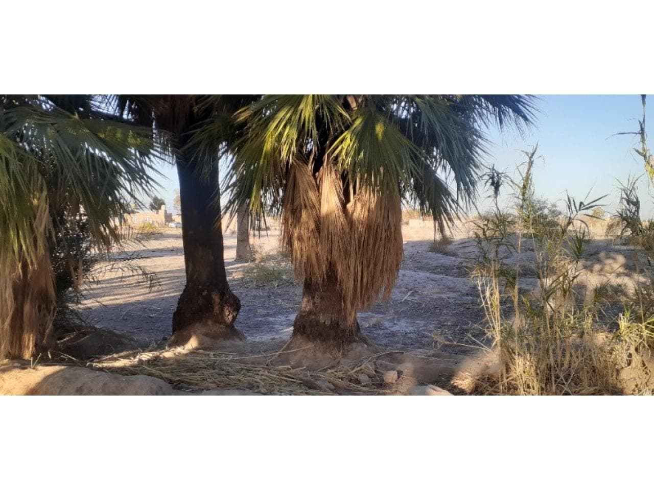 Terreno En Pocito- Excelente Oportunidad De Inversión- 10872 M2