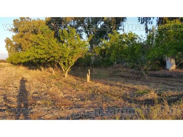 Vendo Lotes En Albardon  En Calles La Diaguitas Y La Laja. Con Agua Termal.