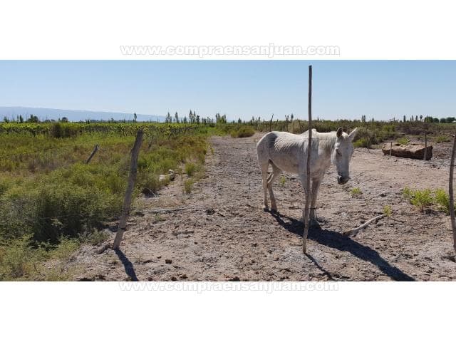 Lotes Frente Calle America De 2000 Mts C/ Nomenclaturen Y Listo Para Escriturar.