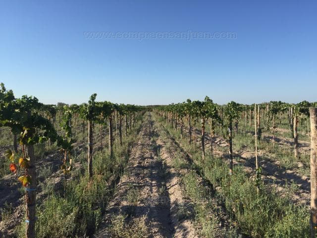 Importante Finca Con Proyecto Lanzado. Dueño Directo