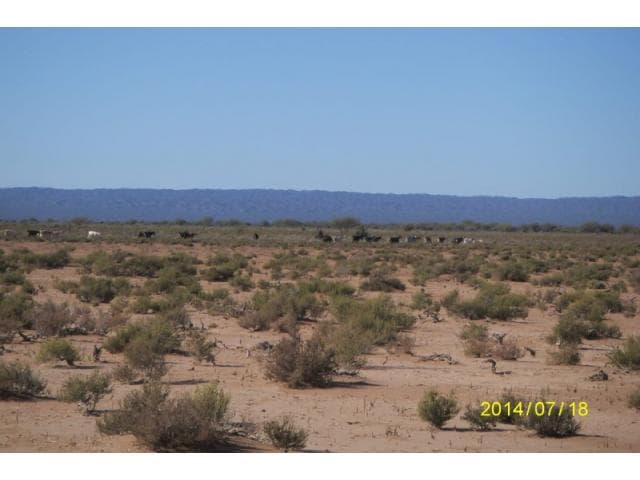 Ideal Diferimiento Campo 25 De Mayo  ( Zona Las Trancas )   6.052 Ha   * Recibo Movilidad *