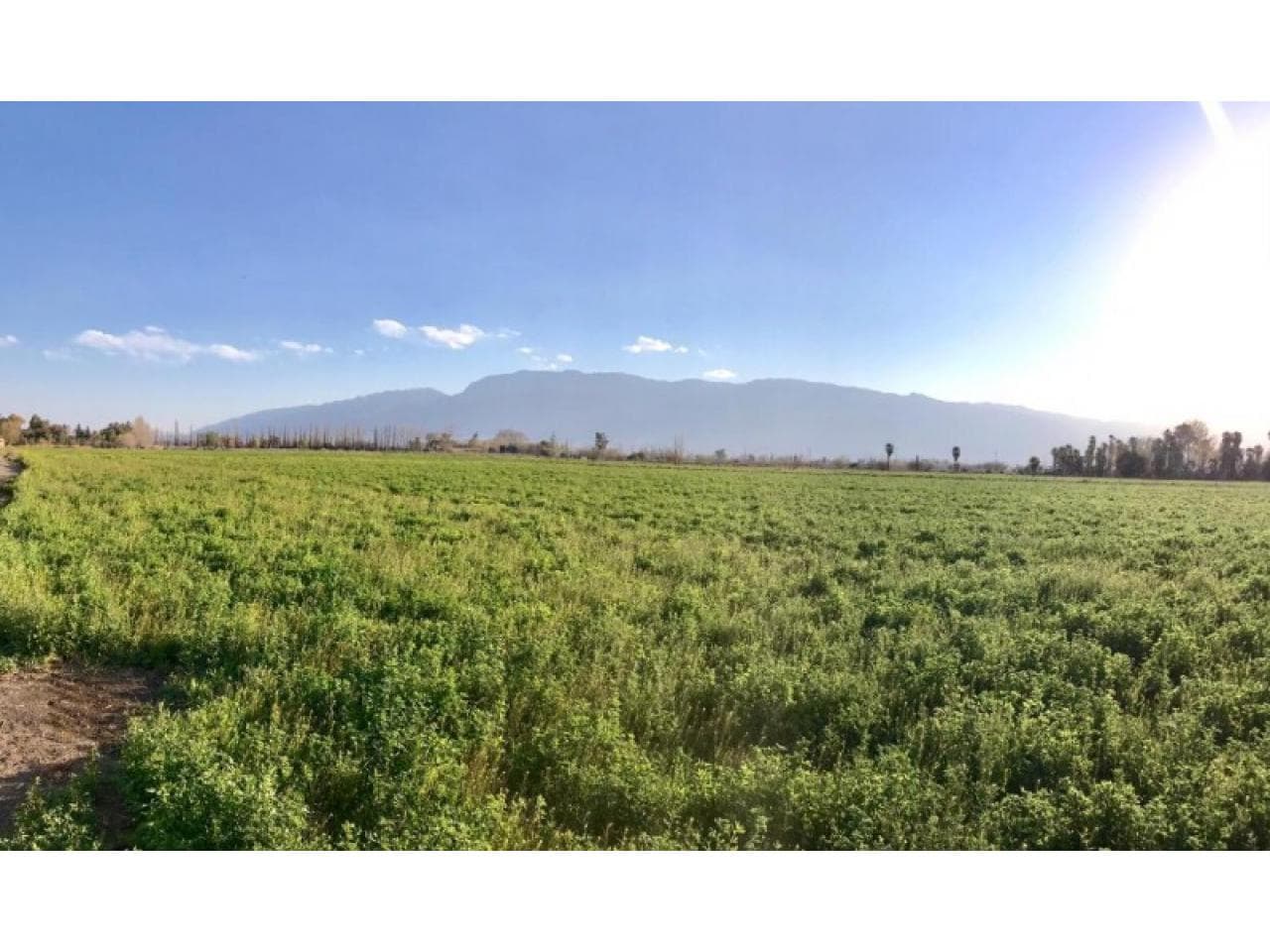 Finca De 5ha En El Mejor Lugar De Pocito - Ruta 40, Entre Calles 11 Y 12
