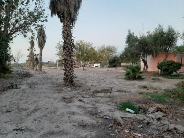 Finca De 1.3 Ha En Blanco Con Pozo, Sobre Calle Av. Libertador Pasando Balcarce (ex Quinta Ranqueles) Sta Lucia
