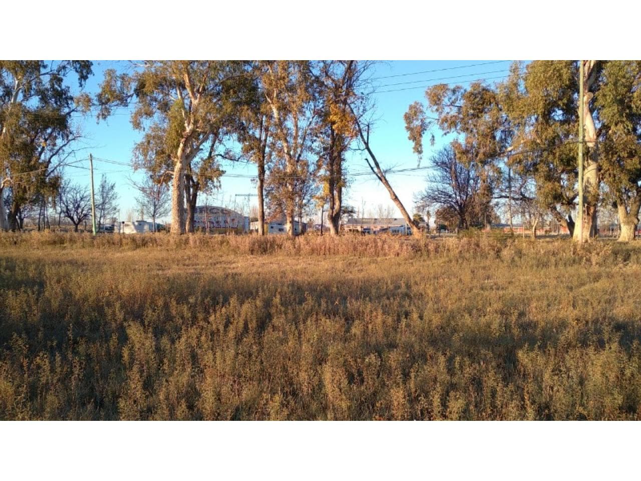Terreno De 2 Hectáreas, Y 4000 Metros- Departamento De 25 De Mayo