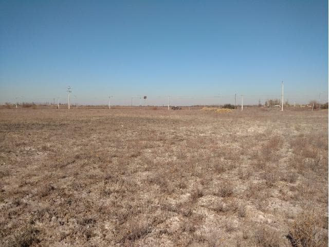 Terreno De 3810 M2, Albardon