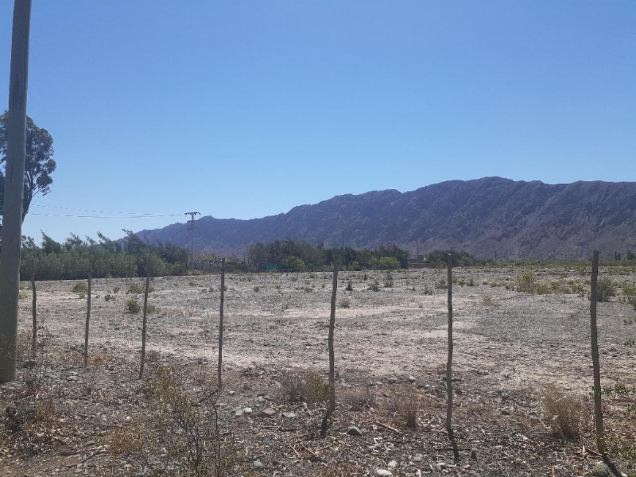 Lote Frentista Sobre Calle Las Moras - Nuevo Loteo Publico Antes De La Villa Tacu -  Sup. = 1.450 M2 -  Zonda.-