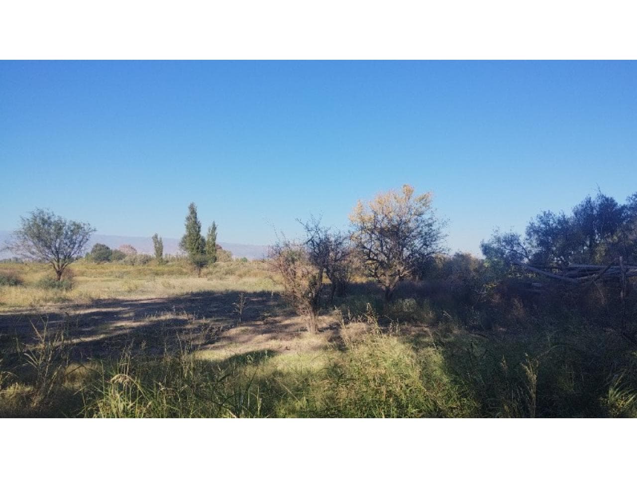 Terreno Esquina Casi 1 Hectárea Con Servicios. Angaco