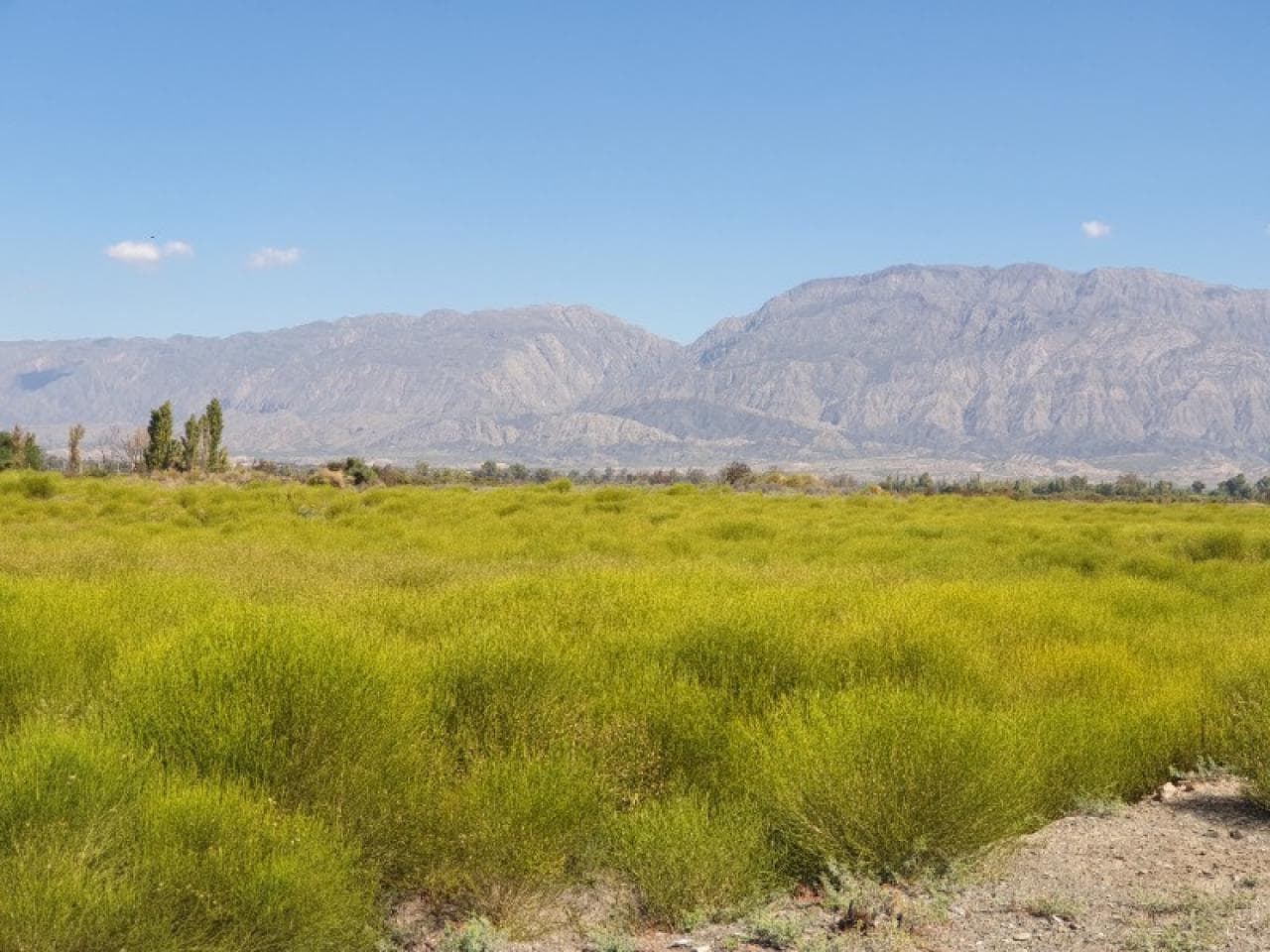 Lote Con Nomenclatura Catastral En Calle 14. De 1500 Mts. Con Pavimento En La Puerta Del Loteo.con Nomenclatura