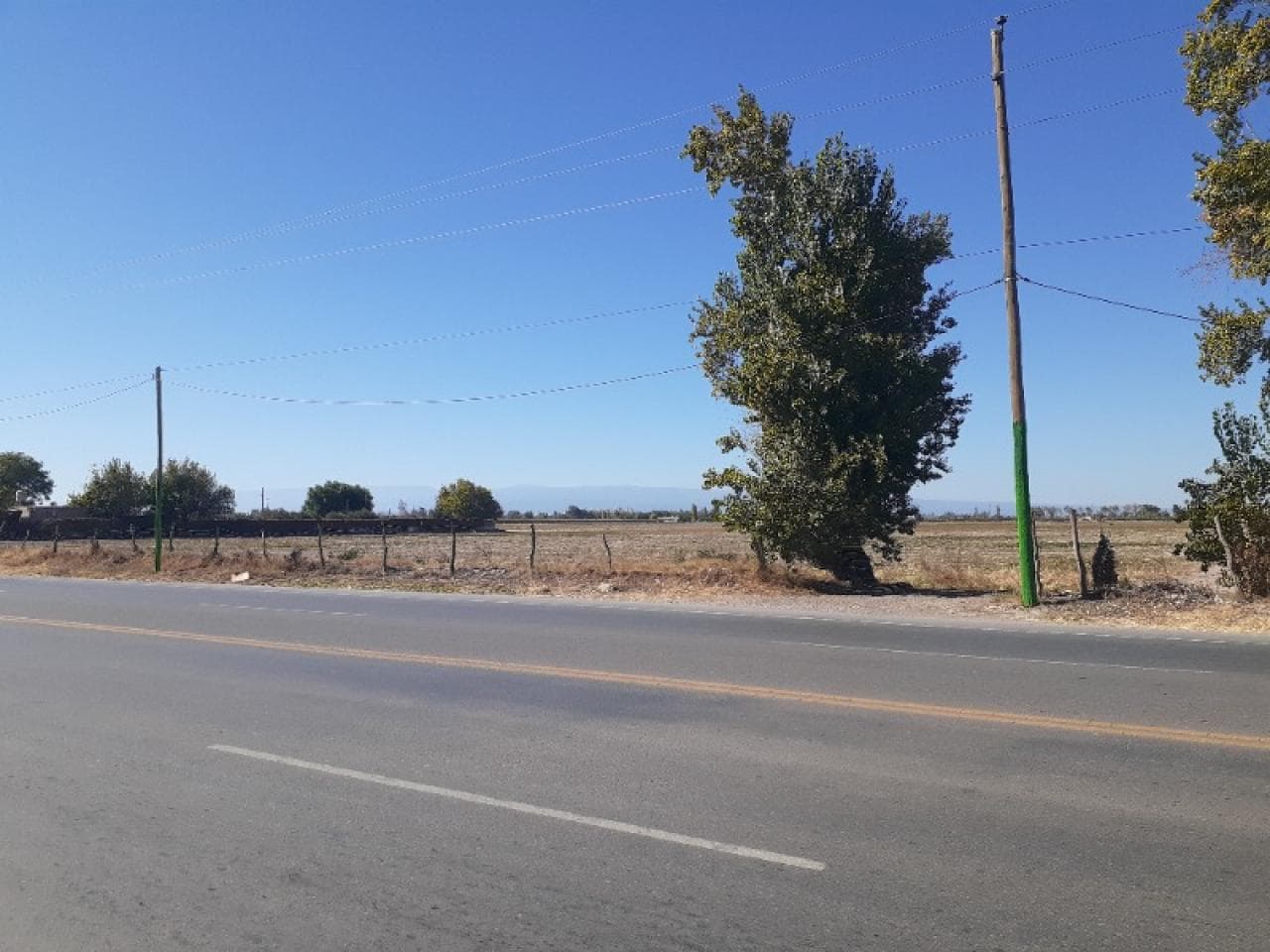 Venta Espectacular Finca De 16 Ha Sobre Calle Mendoza Casi Calle 7 - Toda Con Chacra ,pozo Y Riego Por Goteo - Pocito.-