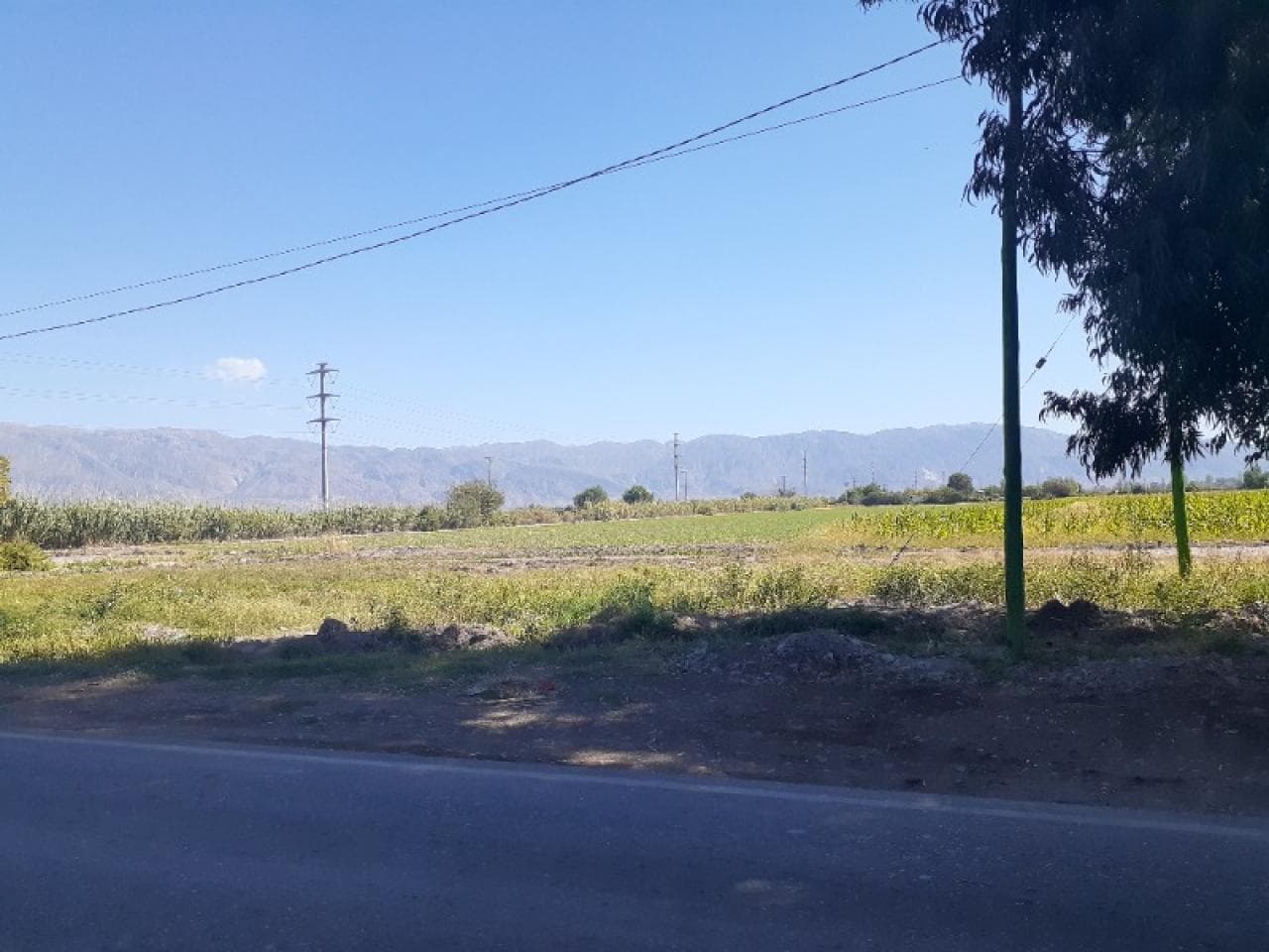 Finca De 3 A 9 Has. , En Esquina De Calle Lemos Y 8 - Pocito.-