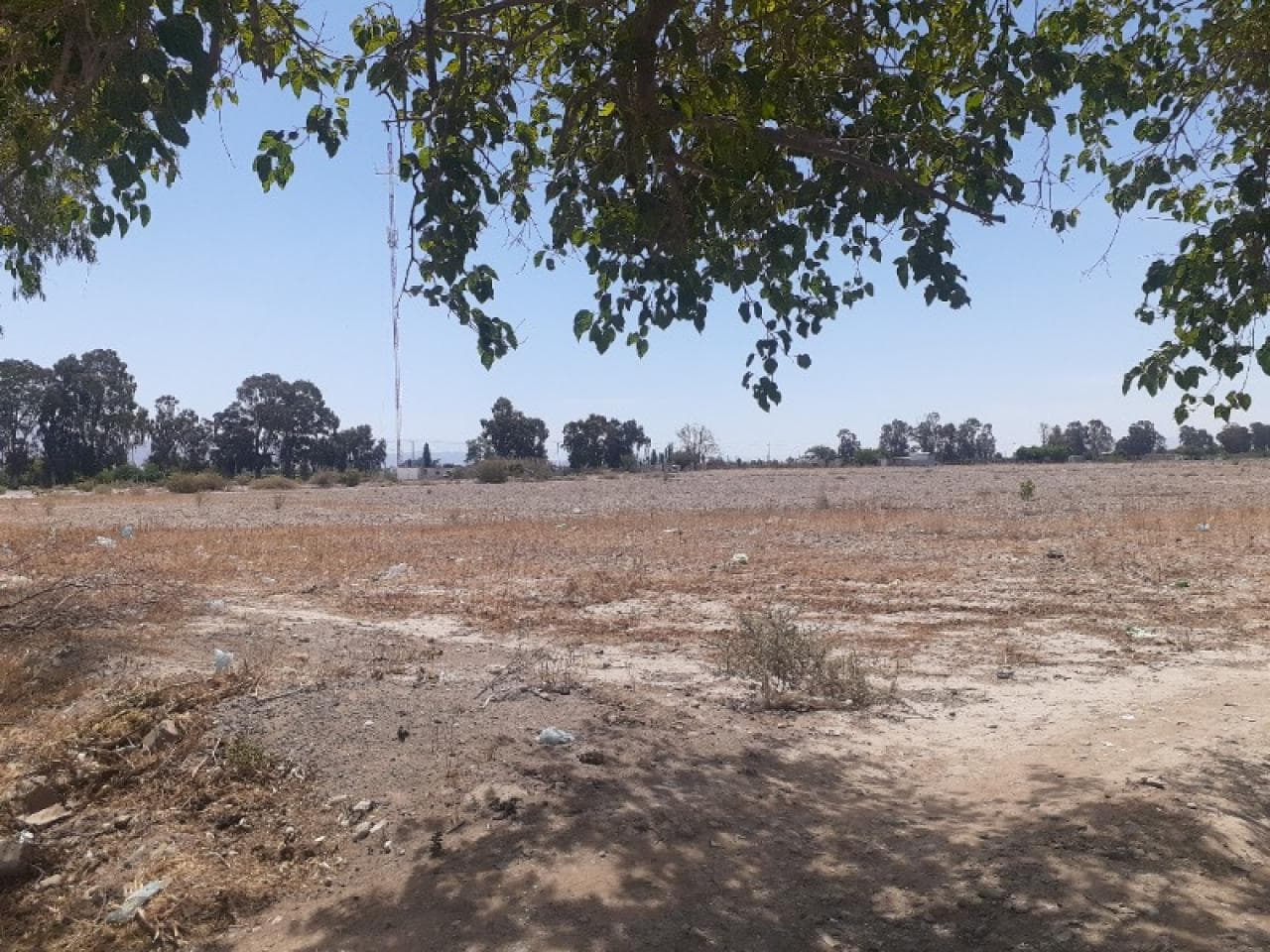 Oportunidad. Finca De 2 Has En Calle 10 Y Lemos - Incluye Loteo Aprobado De 8 Lotes Frentistas - Pozo De Agua - Pocito.-