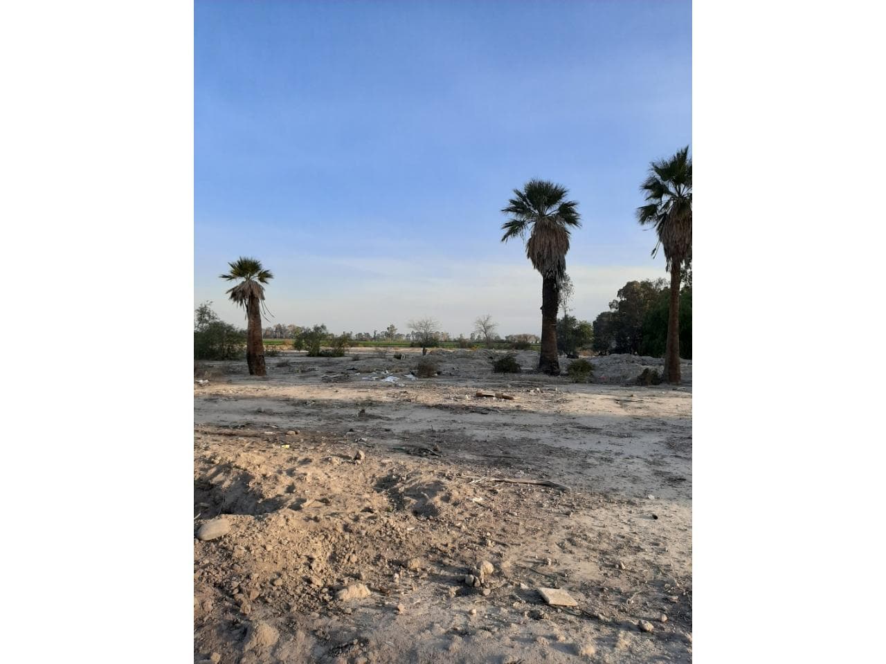 2 Lotes De 5076 M2 C/u En Calle Lemos Y Calle 7