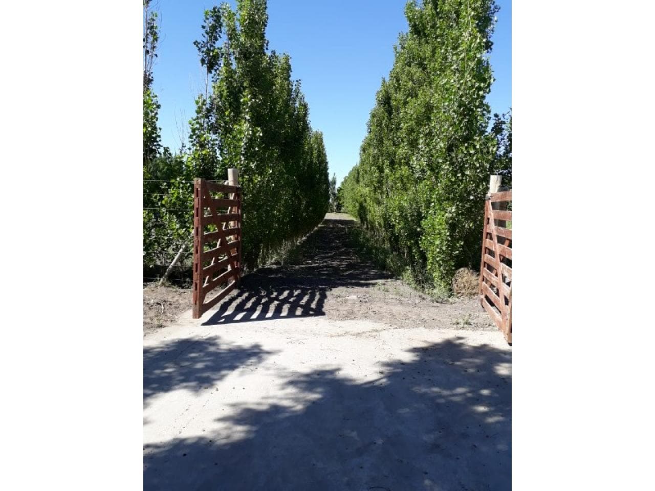 Lote, Calle 12 Entre Mendoza Y Ruta 40