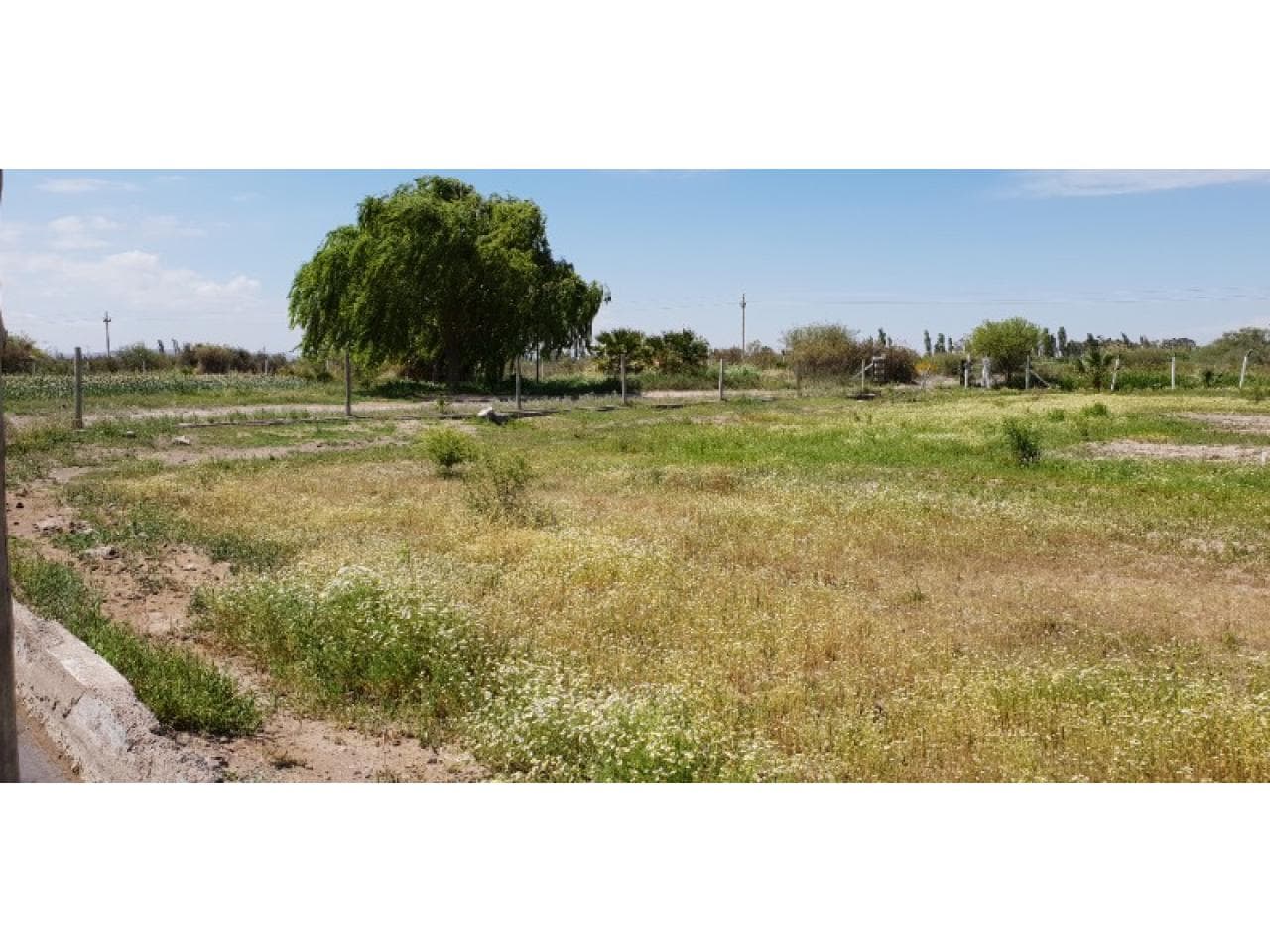 Lote De 1500mts Con Nc En Calle 7 Y Costa Canal