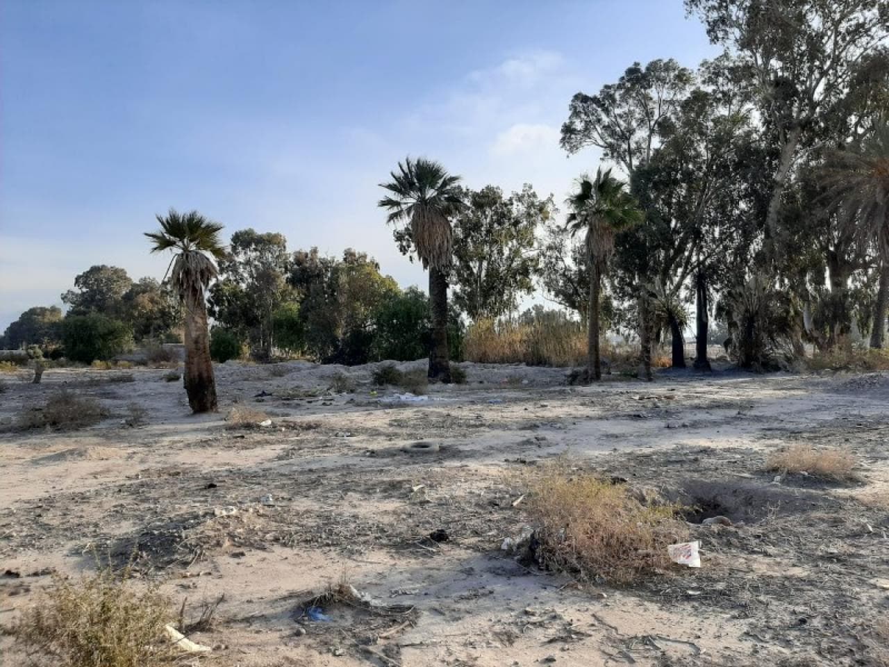 Oportunidad - Ultimos Lotes De 5.000 M2  , En Calle Lemos Y 7 - Con Unos 60 Mts De Frente - Pocito.-