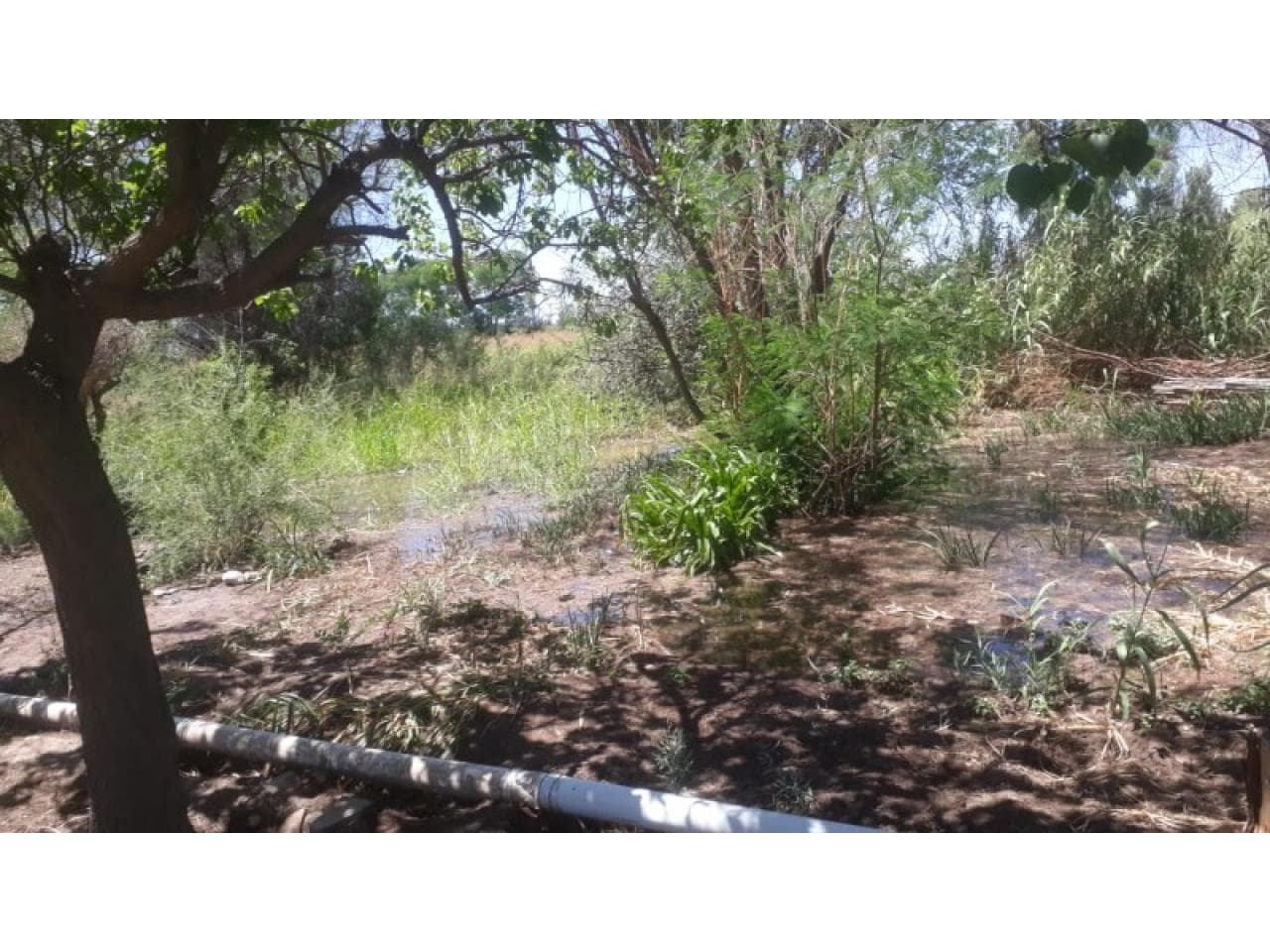 Vendo O Permuto. Por Casa