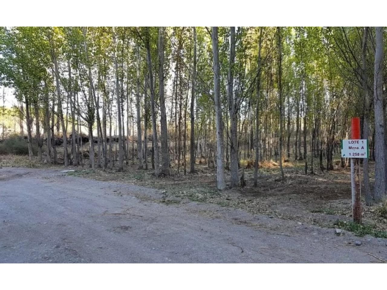 Terreno En Rodeo, Loteo Publico El Bosque, 1258 M2, A 100 Mts De Ruta Nacional 150