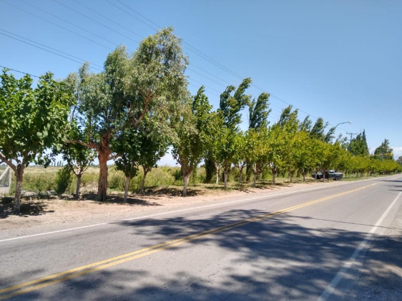 Excelente Terreno De 24 Has, 25 De Mayo