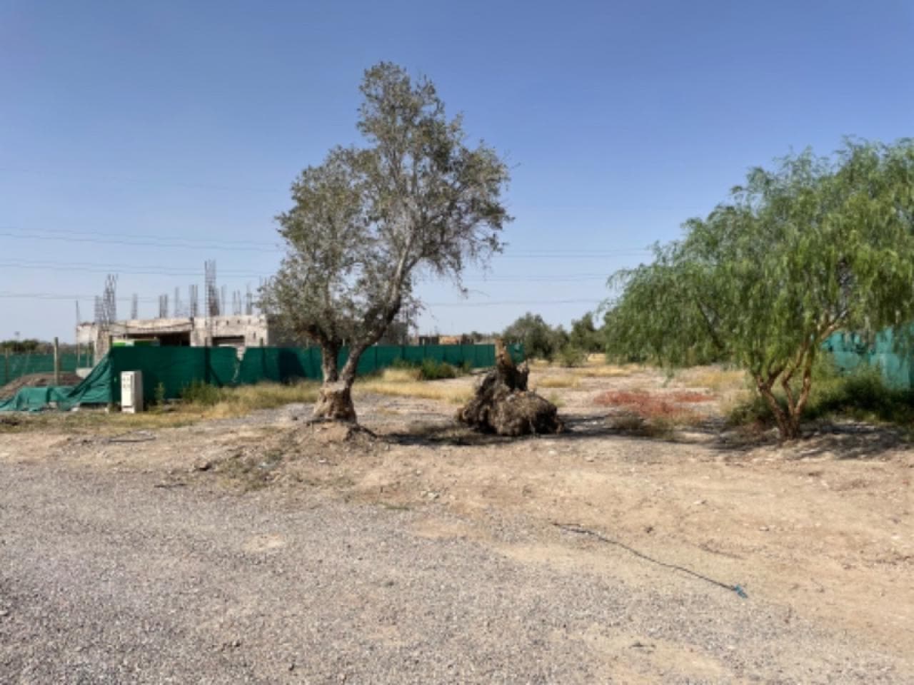 Venta Lote De  820m2 Buena Ubicación - Barrio San Juan De Los Olivos