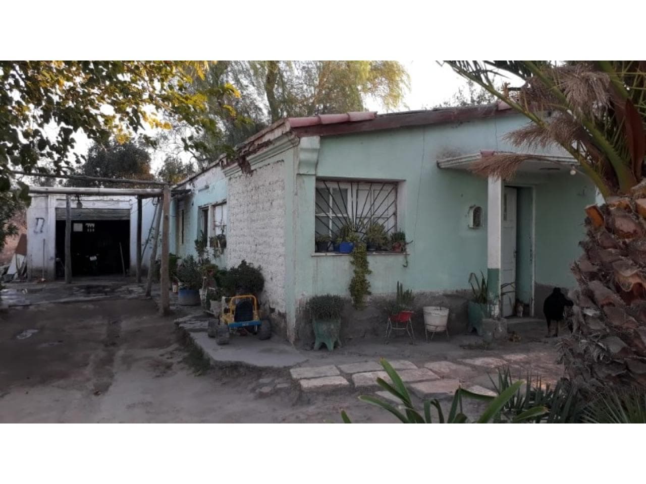 Finca En Blanco De 14 Ha En Calle Mendoza Entre 9 Y 10 - Ideal Para Usos Agricola , Industrial , Loteos ,etc. - Pocito.-