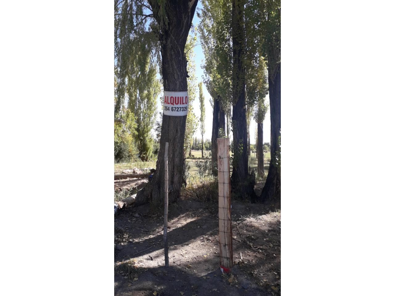 Alquilo Lote A Empresas En Bella Vista, Iglesia