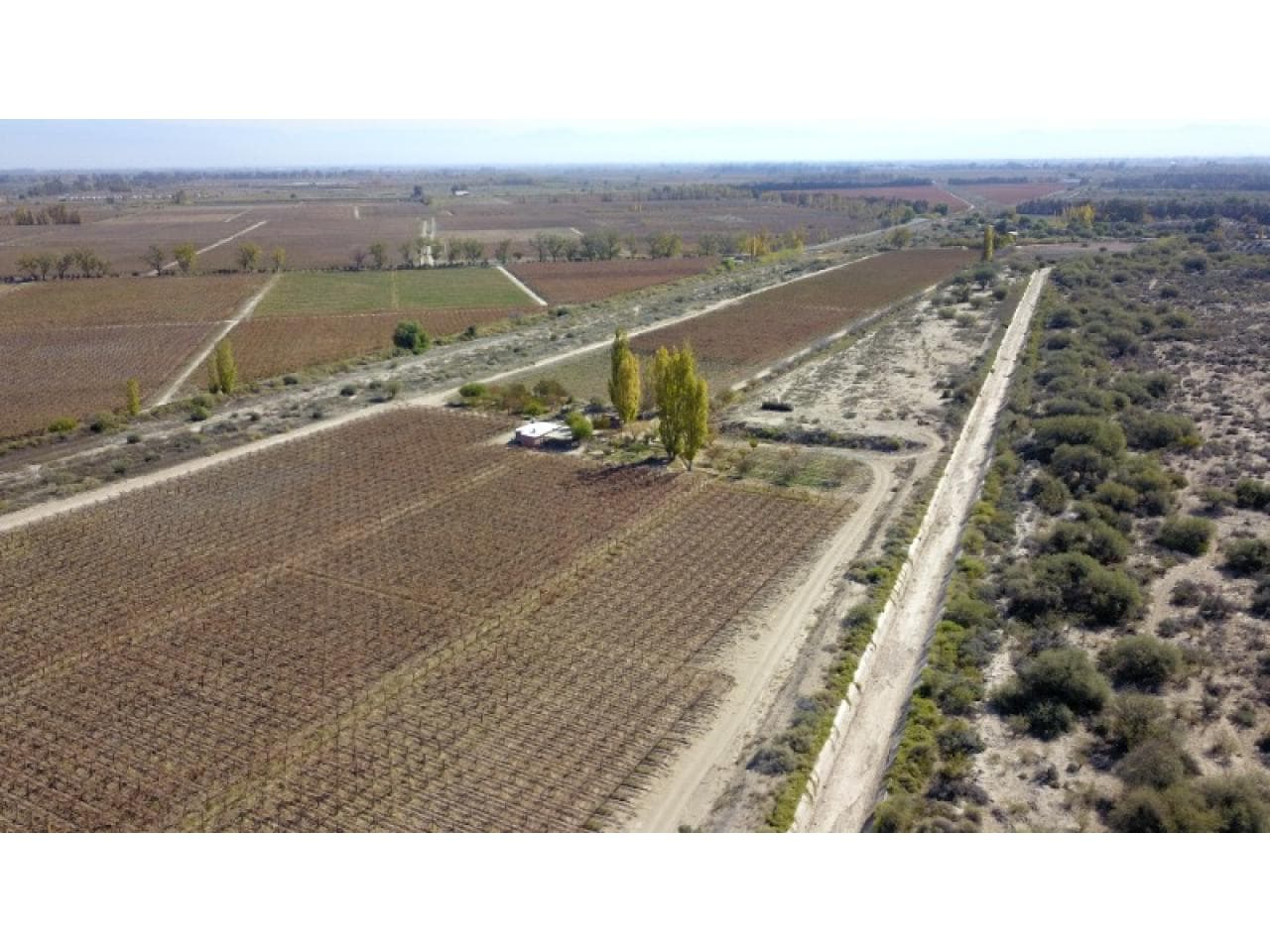 Venta De Fincas En Caucete, San Juan, Argentina