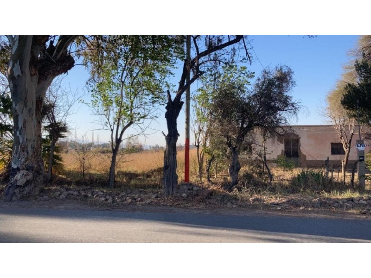 Venta De Lote Angaco En Las Tapias 6 Hectareas Tierra Excelente Y Todos Los Servicios