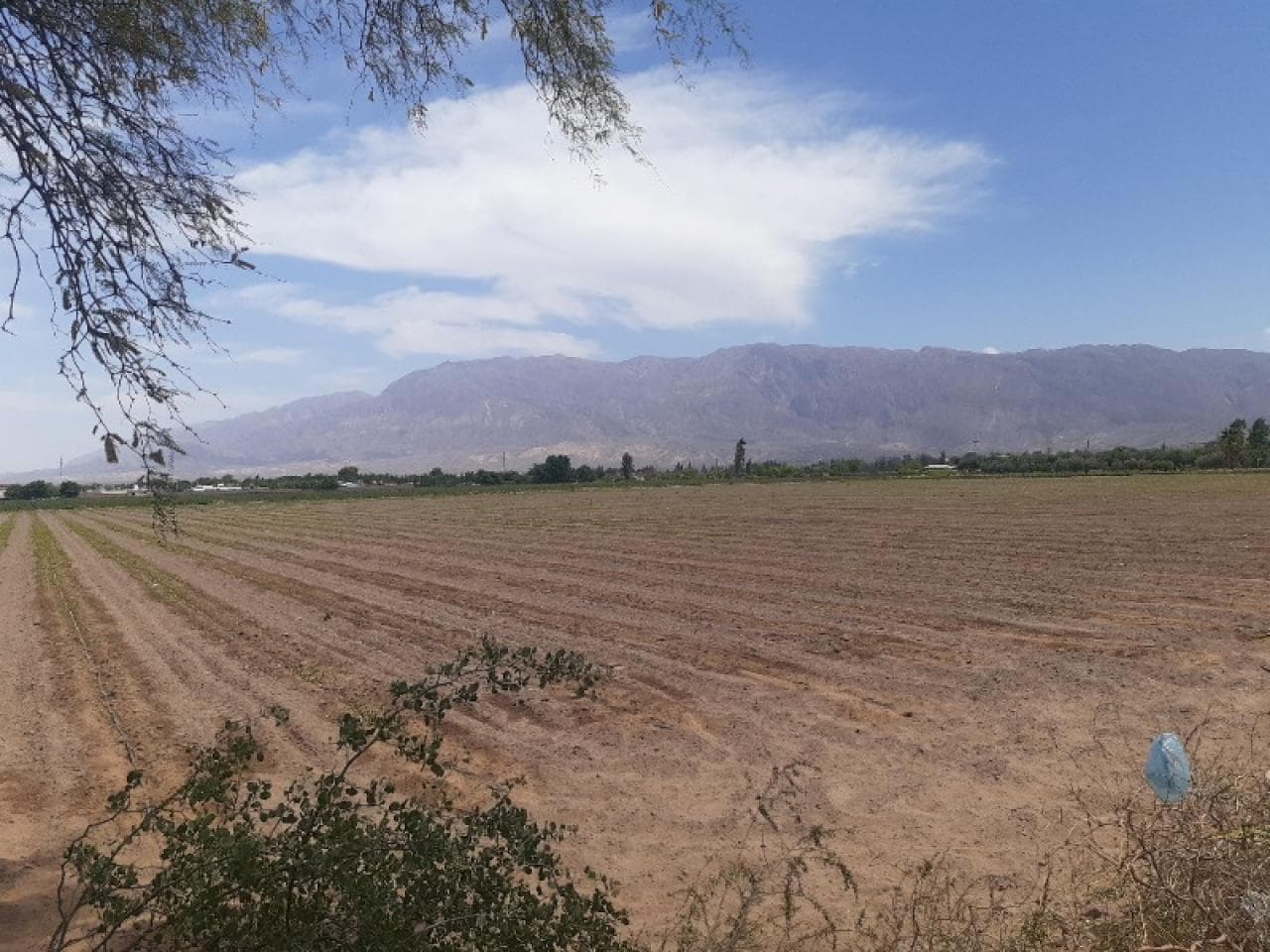 Espectacular Finca De 7 Has En Calle 10 Y Lemos - Se Puede Fraccionar - Pozo De Agua Propio - Pocito.-