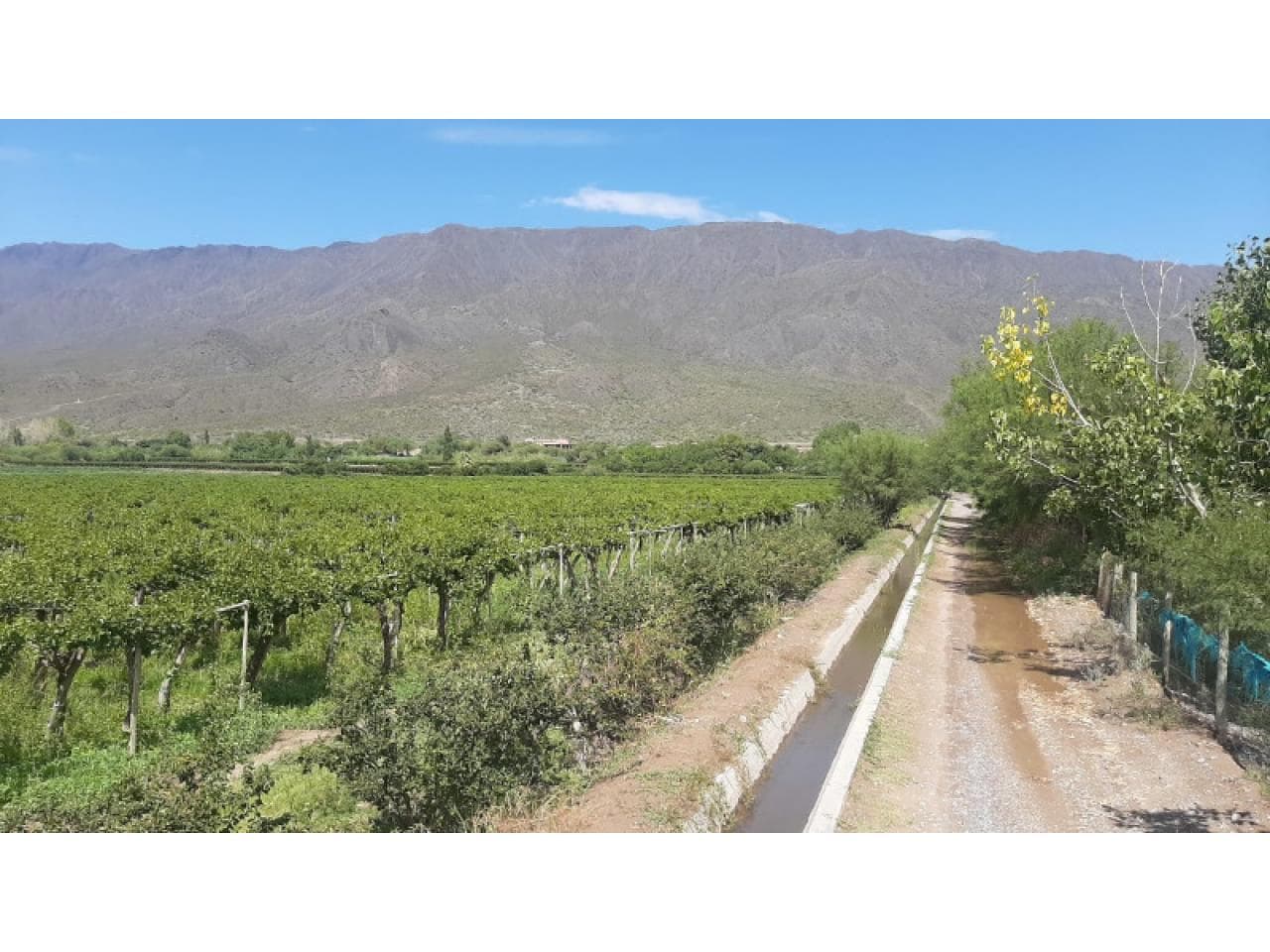 Venta. Importante Finca En Zonda, Ideal Loteo. Sierras Azules