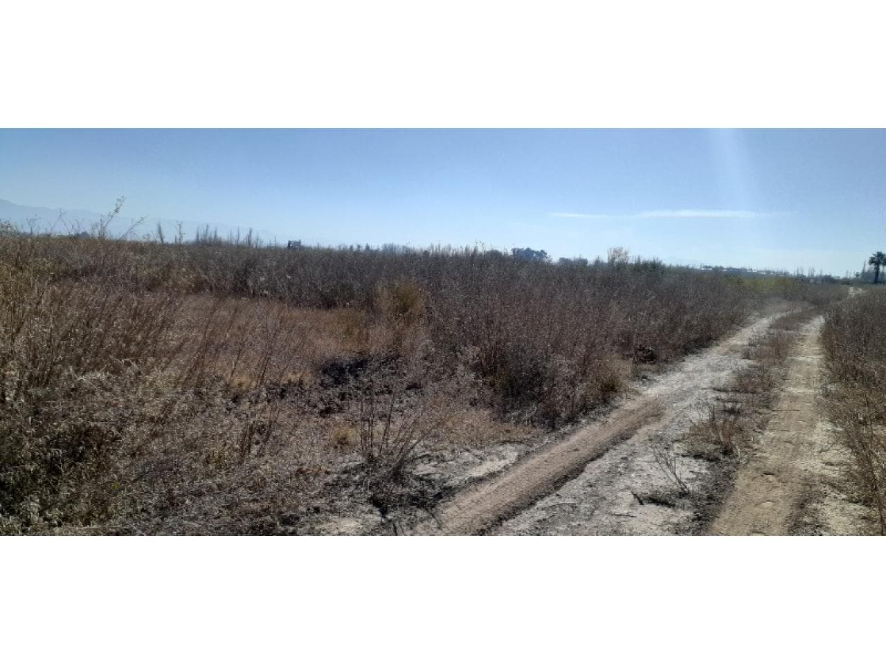 Venta Lote De 1500 M2 Esquina- Calle 13 Y Olivares-