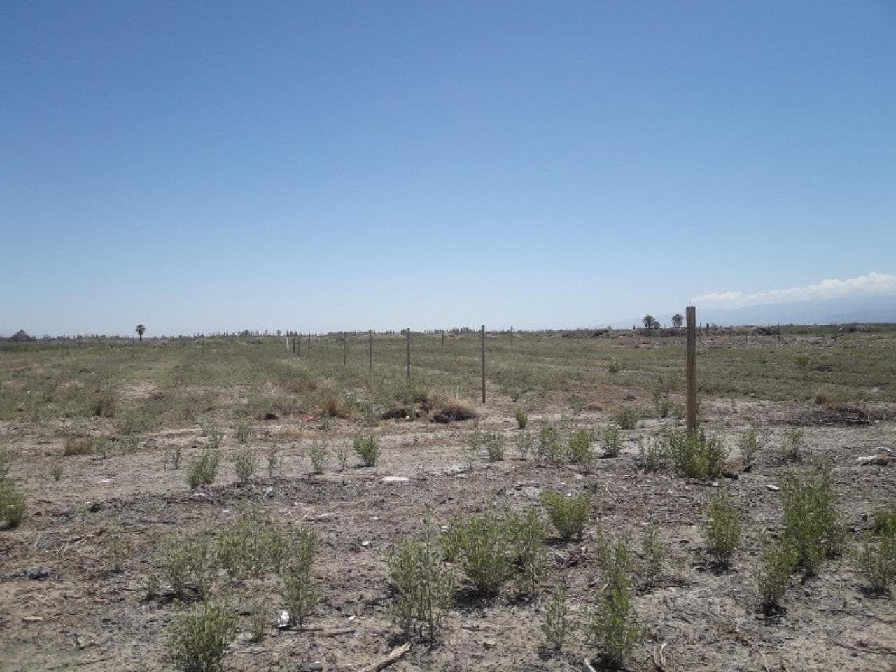 Venta. Lotes Medano De Oro 2000m2