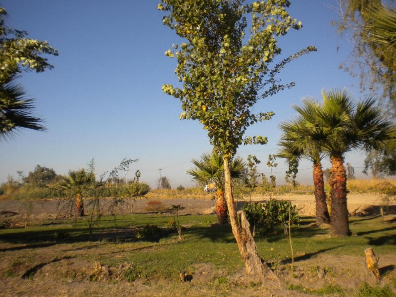 Venta. Lote Esquina En Médano De Oro