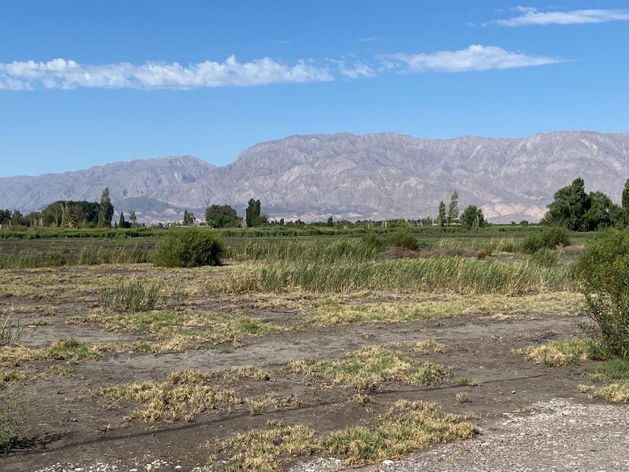 Venta. Hermosos Lotes De 1.600 M2 En B° Privado Calle 10 A 800 Metros Al Este De Ruta 40. Pocito