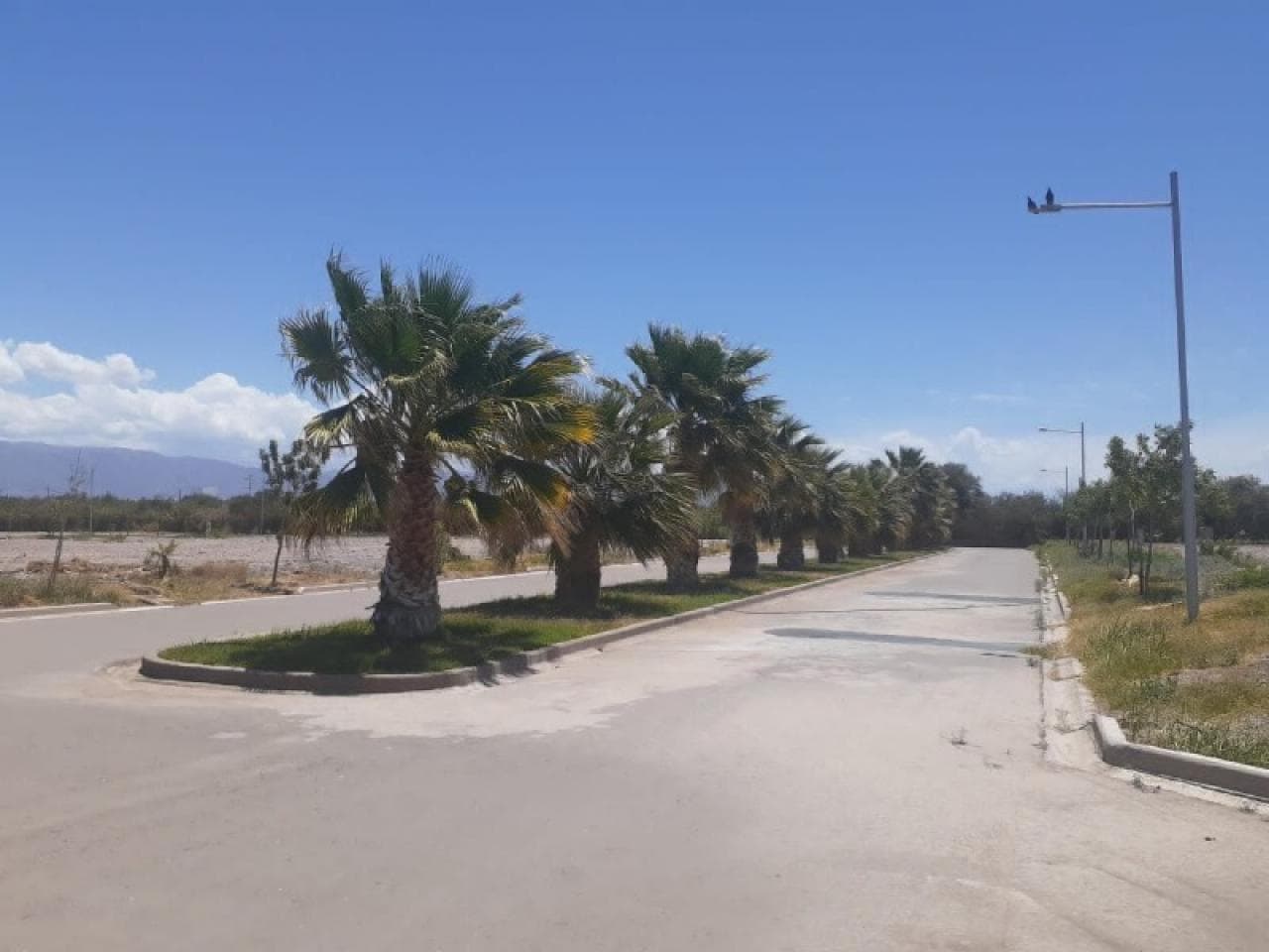 Venta Lotes 300m2 Y 400m2 Barrio Privado Las Lomas -