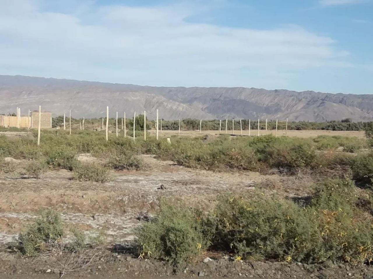 Venta. Lote En Angaco Calle Santa Elena Y Estacion