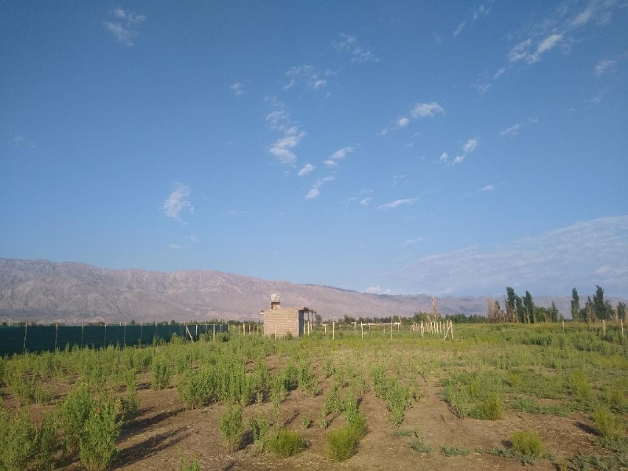 Vendo  Lote De 1500 M2 En Barrio Privado. Pocito. Listo Para Escriturar