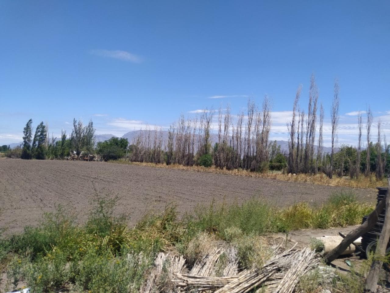 Finca 4ha Tascherette Y Calle 9. Pocito