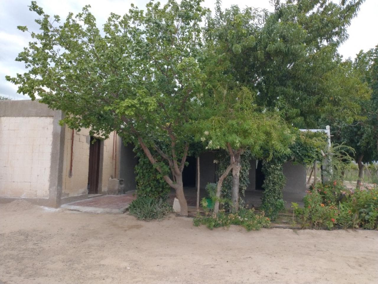 Finca Sobre Ruta 40. Pocito