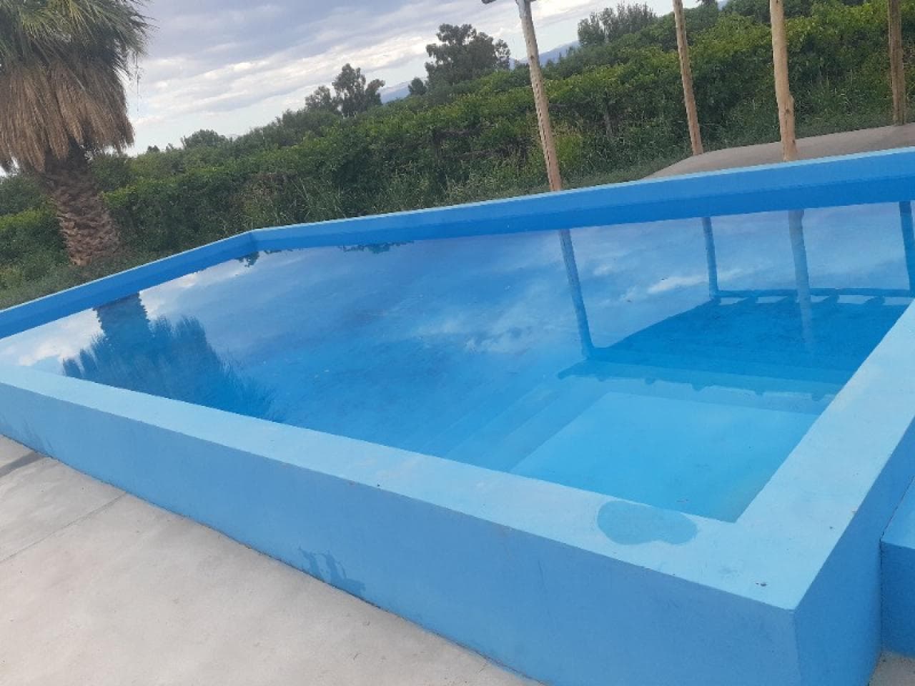 Adelanta Y Prepara,tu Verano Lote + Pile + Quincho