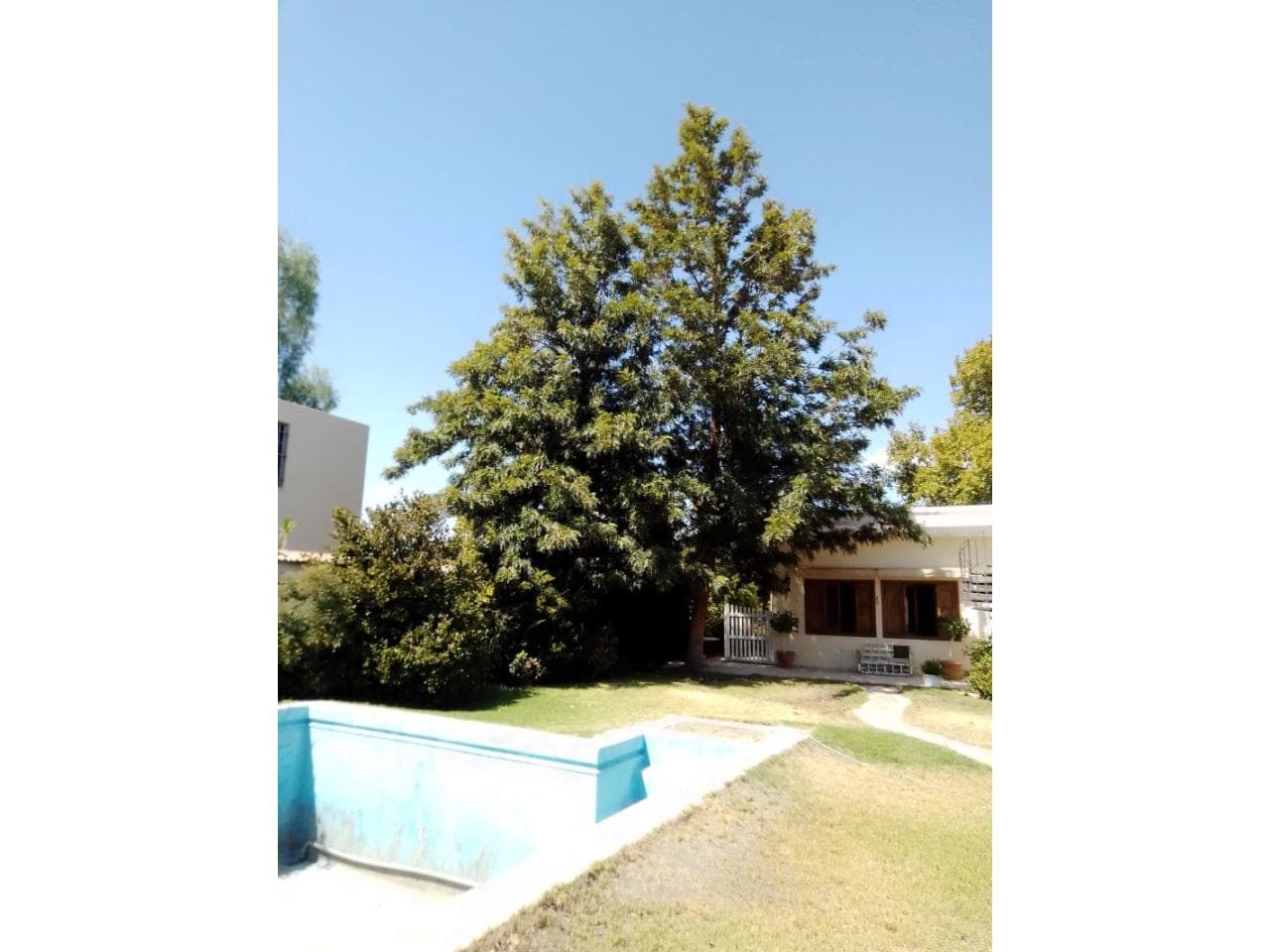 Venta. Casa En Excelente Punto Sobre Libertador A Media Cuadra De Plaza Desamparados