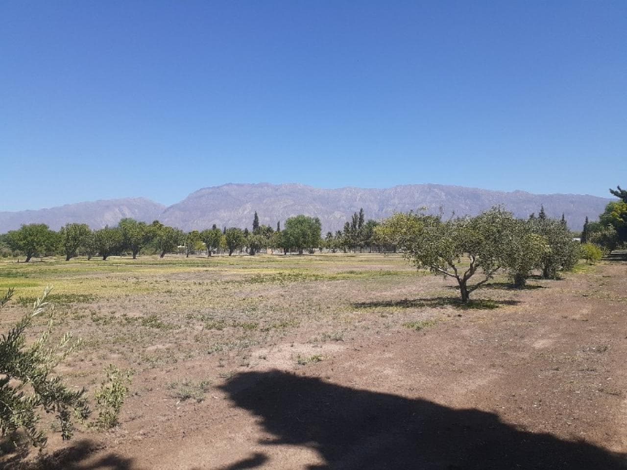 Oportunidad - Fantastico Lote Parquizado De 1.500 M2 - Pegado Al Loteo La Porfiada - Ruta 40 - Pocito.-