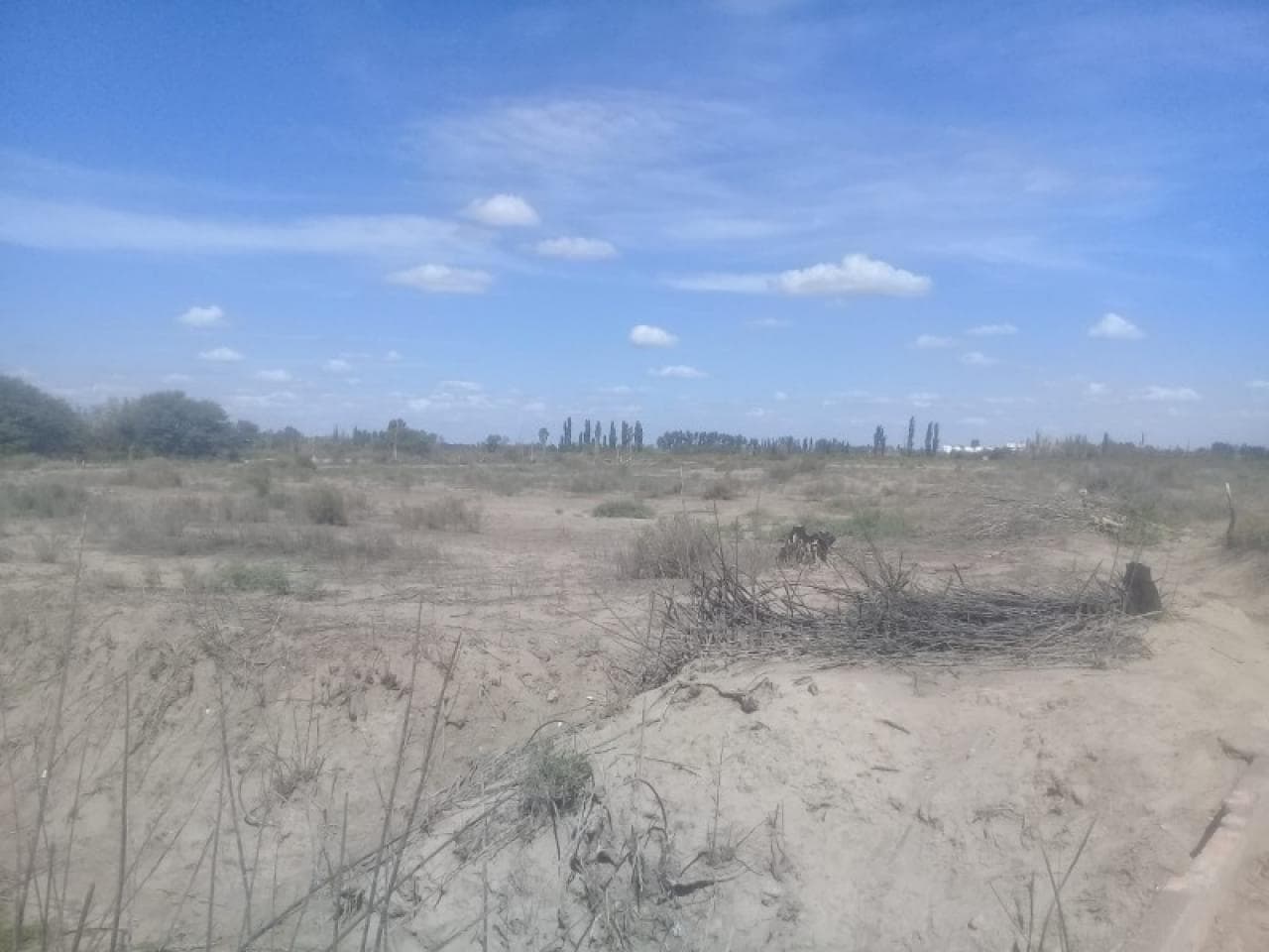Terreno Ideal Para Proyecto Residencial, Comercial O Turístico En Chimbas - Benavidez Y Callejon Blanco