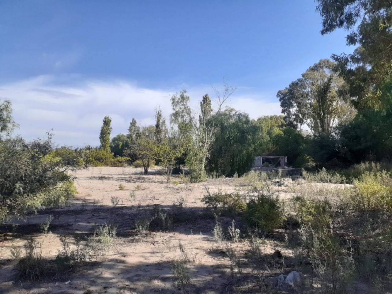 Fantastico Terreno ( Finca En Blanco ) De 2,5 Ha , Sobre La Av. Sarmiento A Mts. De La Ruta N40 - Albardon.-
