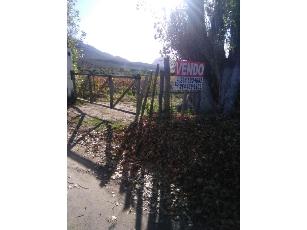 Venta De Finca En Zonda (al Pie Del Cerro Sierras Azules)