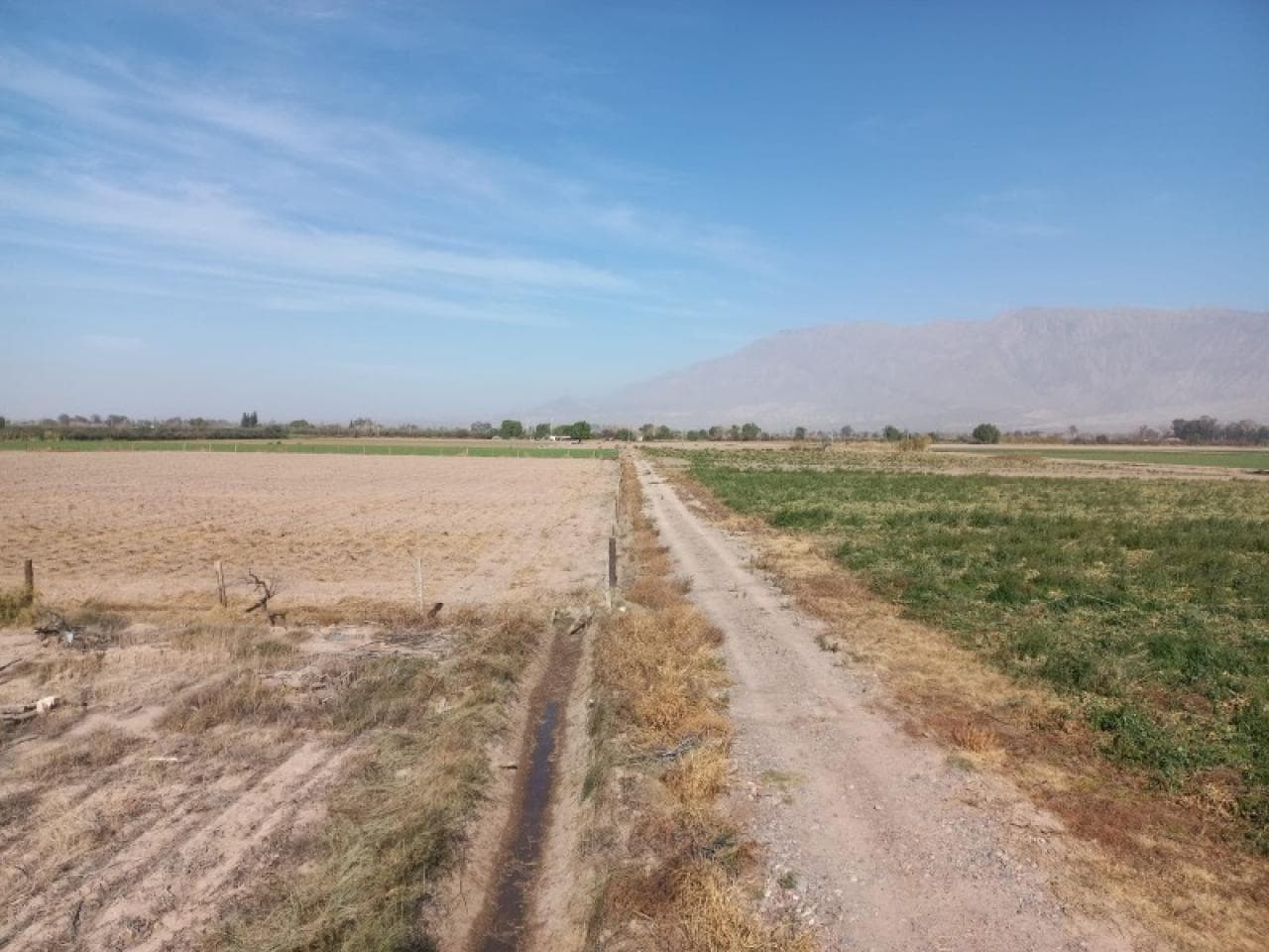 Oportunidad - Flamante Finca De 4 Ha En Pocito - Pozo De Agua Y Riego Por Goteo - Calle 9 Y San Miguel.-