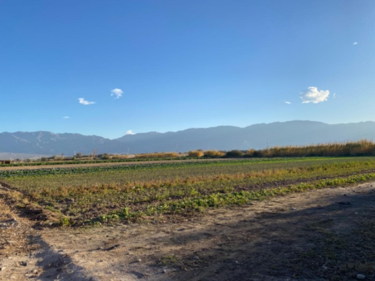 Vendo 18 Hectáreas En Blanco Con 2 Casas De Fin De Semana. Pocito