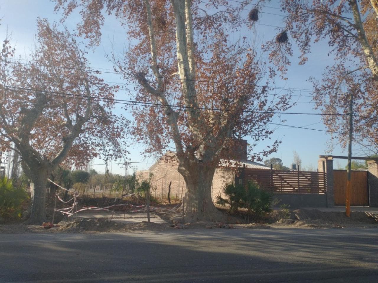 Hermoso Terreno Ubicado Sobre Calle Libertador, Con Servicios En La Puerta
