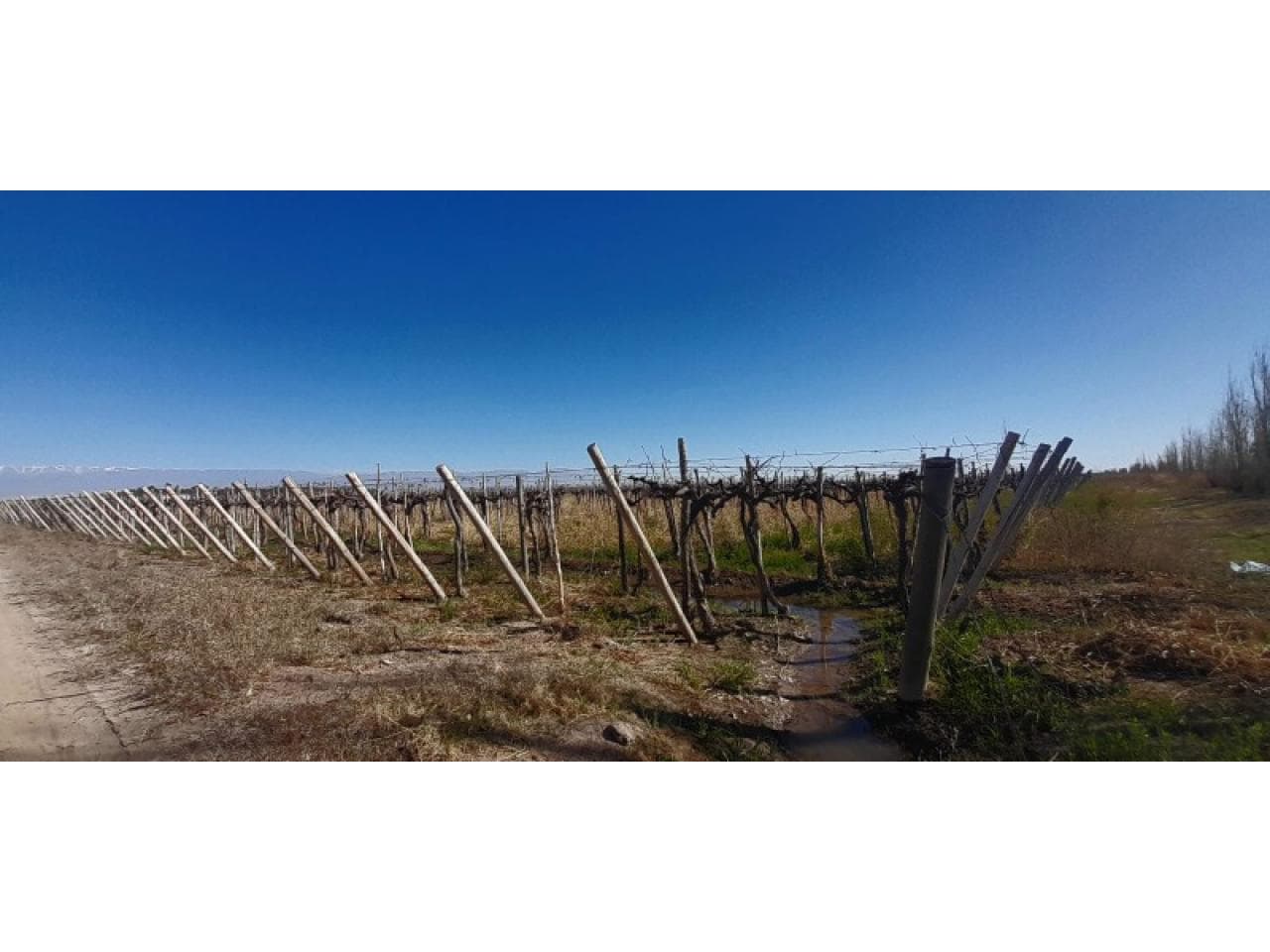 Venta. Finca En Sarmiento Cochagual Sur , A 4 Km De Villa Cabecera Media Agua