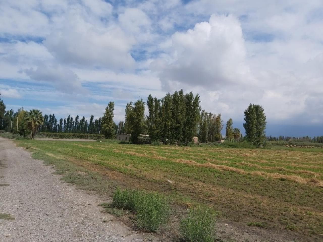 Oportunidad - Magnificos Lotes De 1 Ha En Calle 10 A Mts De La Ruta 40 - Derecho De Agua Y Pozo - Pocito.-