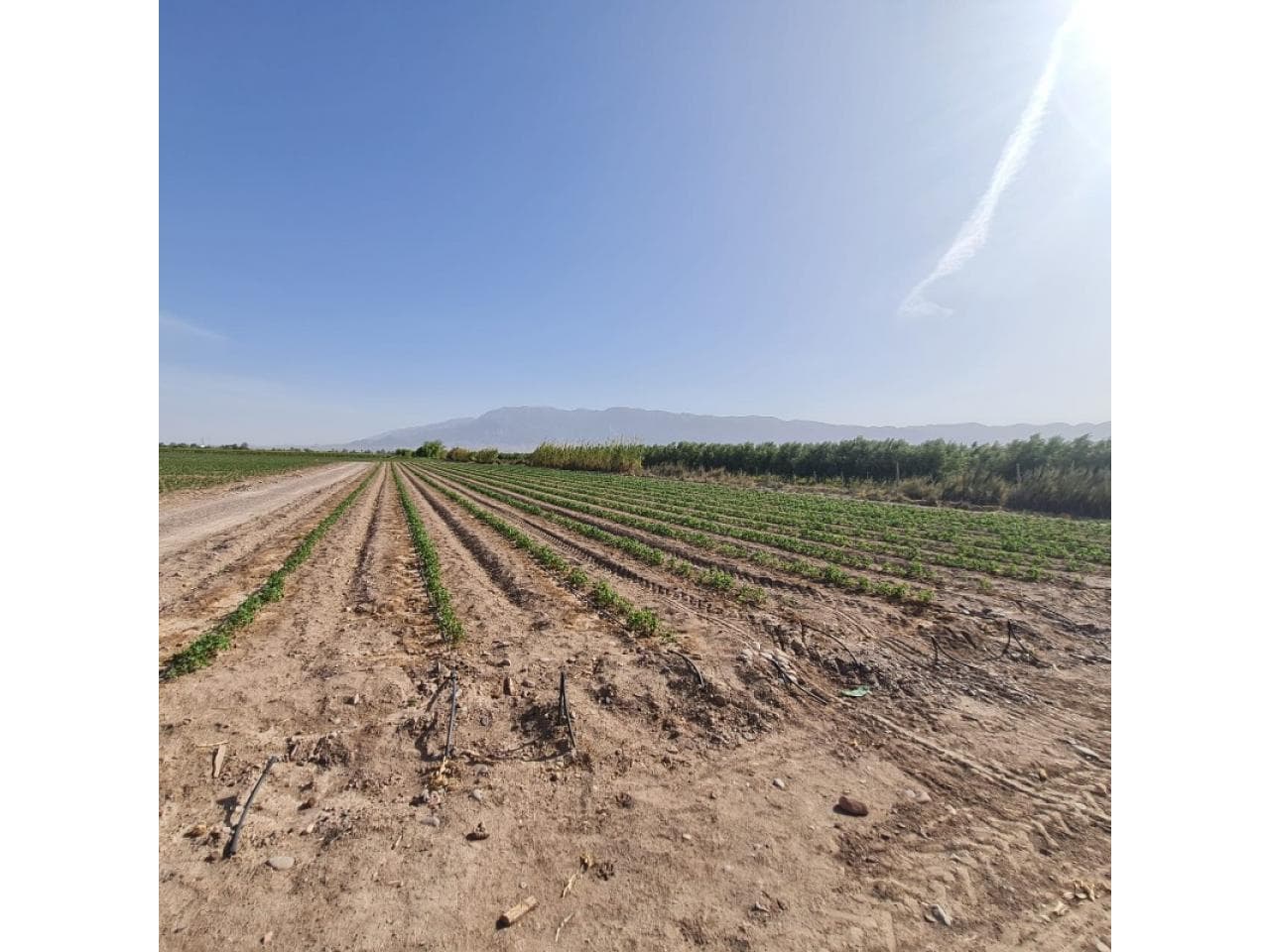 Venta. Finca Pocito Calle 8